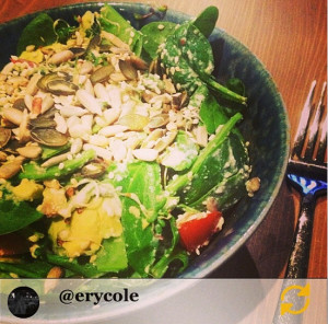 erycole Mixed Leaf Seeded Salad